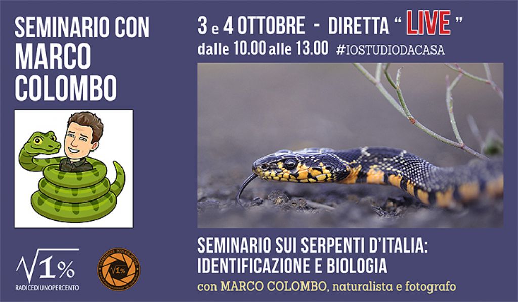 corso online di identificazione e biologia dei serpenti italiani